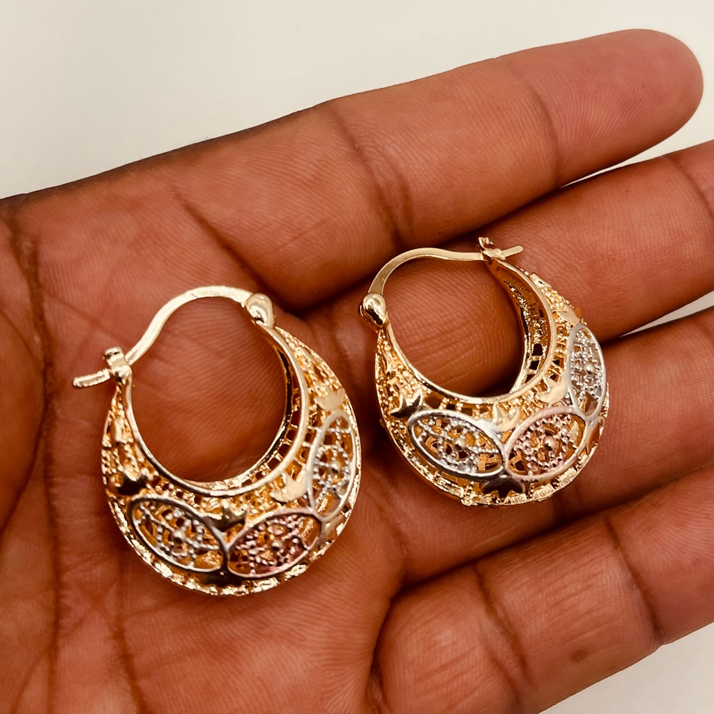 14k Gold Plated Earrings For Women 20$